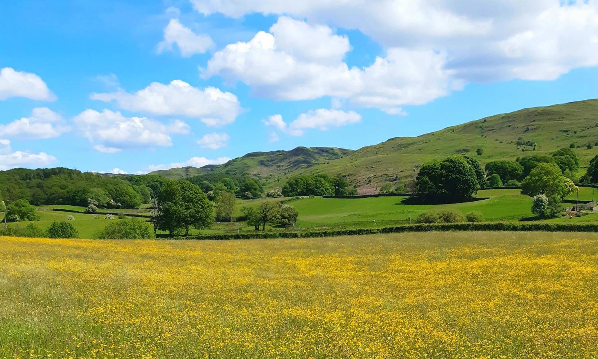 Ling Fell Cottage Ulverston Luaran gambar
