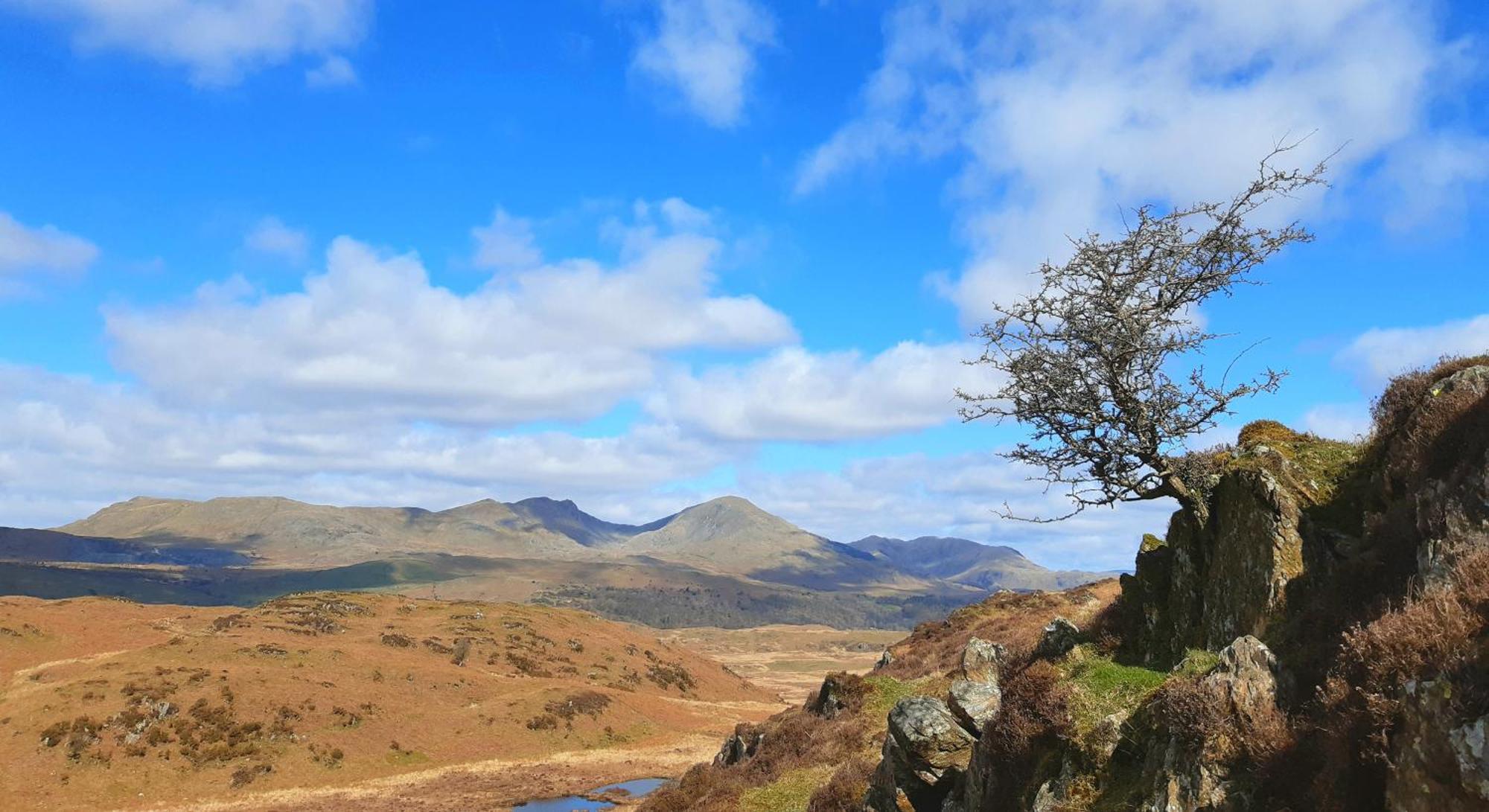 Ling Fell Cottage Ulverston Luaran gambar